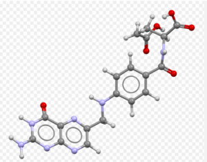 Folic Acid