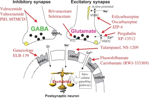 Mechanism Action of Gabapentin
