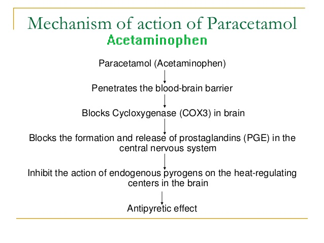 the mechanism of action of acetaminophen