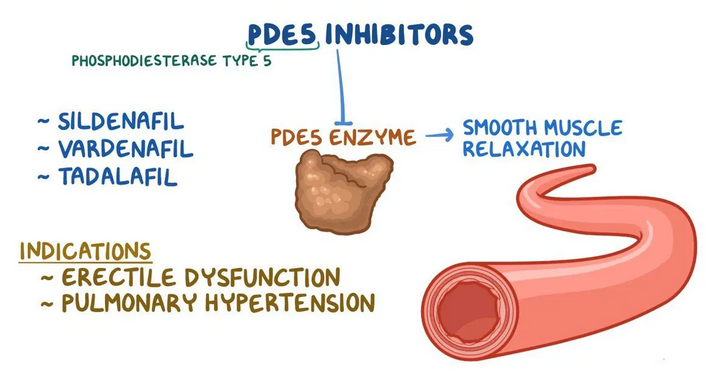 PDE5 Inhibitors