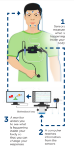 Biofeedback