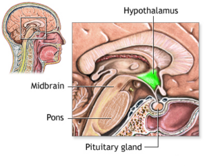 What Is a Cluster Headache and How to Treat Cluster Headache Fast
