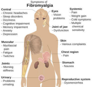Gabapentin for Chronic Neuropathic Pain and Fibromyalgia